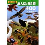 田んぼの生き物400/関慎太郎【著】　