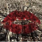 ガイガーカウンターカルチャー/アーバンギャルド　