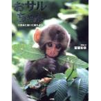 o обезьяна Chan ...... пришел ./. глициния мир .( автор )