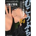 むこうぶち(34) 近代麻雀C/天獅子悦也(著者)