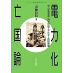 電力化亡国論 核・原発事故・再生可能エネルギー買収制度 シリーズ環境問題を考える4/近藤邦明【著】　