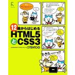 12 лет из впервые .HTML5.CSS3/TENTO[ работа ]