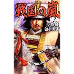 戦国の嵐(二) 長篠城包囲戦！ 歴史群像新書／津野田幸作【著】