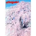 a Hagaki Magazine(2013) Bunshun Ex Mucc / практическое использование документ 