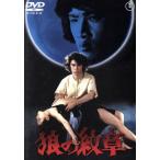 .. . глава /.. Taro, дешево ..., Honda ..., Matsumoto правильный .( постановка, ножек книга@), Hirai Kazumasa ( оригинальное произведение ),