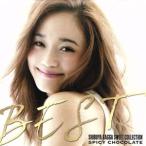  значительно Spy si- шоколад!~BEST OF Shibuya RAGGA SWEET COLLECTION/SPICY CHOCOLATE