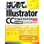  впервые .. 5 минут . возможен Illustrator CC/CS6/CS5/CS4 BASIC MASTER SERIES/ перо камень .[ работа ]