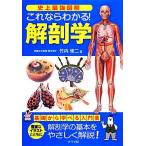  исторический сильнейший иллюстрация это если понимать! анатомия / Takeuchi . 2 [ работа ]