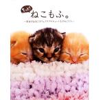  более!..... свободный .... Cafe Club. симпатичный ....../ камень ..[ фотография ]