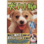  собака сэнрю Corgi. обратный .TATSUMI MOOK/ хобби * устройство на работу гид * квалификация ( автор )