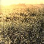 Impressions/Arc of Doves