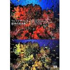 ウェブデザイン&配色の見本帳/フレア(編者),坂本邦夫