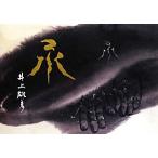 . Inoue самец .pepita2/ Inoue самец .( автор )