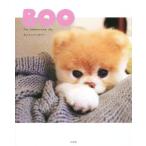 BOO/ хобби * устройство на работу гид * квалификация 