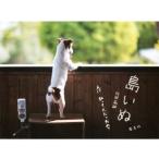 島いぬ え!? 私って犬だったの？/阿部高嗣(著者)