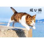 飛び猫/五十嵐健太(著者)　