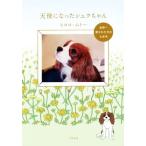  ангел стал shuk Chan мир один love осуществлен собака. 7 год половина / Hiroko *mto-( автор )