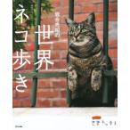  фотоальбом скала . свет .. мир кошка ../ скала . свет .