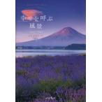 ..... пейзаж / прямой .. прекрасный .