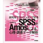  изучение . brush выше делать SPSS.Amos по причине менталитет * исследование данные ../ маленький соль Синдзи ( автор )