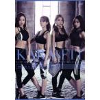 KARA the FIT[Disc.2 [ Jean булавка ]for.* спина * 2. рука * плечо ]/KARA
