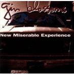 [ зарубежная запись ]New Miserable Experience/ Gin *bro Sam z