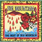 [ зарубежная запись ]Best of Big Mountain/ большой * mountain 