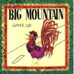 [ зарубежная запись ]Wake Up/ большой * mountain 