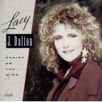 [ зарубежная запись ]Chains on the Wind/LacyJ.Dalton