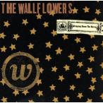 [ зарубежная запись ]Bringing Down the Horse/ The * wall цветок z