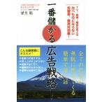  самый ... реклама стратегия! TV, газета * журнал реклама - сравнение было использовано . если нет .. показатель, расходы на эффект!/ полнолуние .( автор )