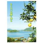 モヒカン故郷に帰る(特装限定版)(Blu-ray Disc)(DVD付)/松田龍平,柄本明,前田敦子,沖田修一(