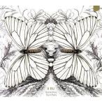 [ зарубежная запись ]Butterflies Fly in Pairs/A Bu