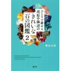 hi...... река .. море сторон красивый камень. иллюстрированная книга (2)/ Shibayama изначальный .( автор )