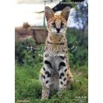 фотоальбом сервер ru park LEPTAILURUS SERVAL PHOTO MOOK SUN-MAGAZINE MOOK/ юг ширина Shunsuke 
