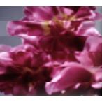  какой раз тоже новый .. рождение ./MONDO GROSSO