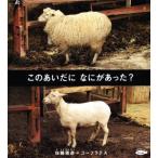 このあいだになにがあった？ かがくのとも絵本/佐藤雅彦(著者),ユーフラテス