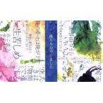 僕たちがやりました ブルーレイBOX(B