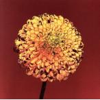 Mountain Top/Shape O