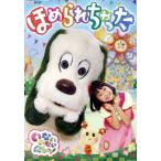 NHK нет нет ...!......../( Kids ), one one,.. Chan,.-..