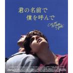 君の名前で僕を呼んで（Ｂｌｕ−ｒａｙ　Ｄｉｓｃ）／ティモシー・シャラメ,アーミー・ハマー,マイケル・スタールバーグ,ルカ・グァダニー