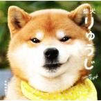 . собака ..../книга@....( автор )