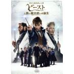 ファンタスティック・ビーストと黒い魔法使いの誕生/(関連)ハリー・ポッター,エディ・レッドメイン,キ
