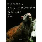  фотография ....ama рубец черный заяц. жизнь ../.. свет ( автор )