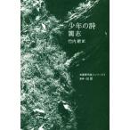 少年の詩 中国現代詩人シリーズ/閻志(著者),竹内新(訳者)　