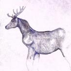 馬と鹿(通常盤)/米津玄師