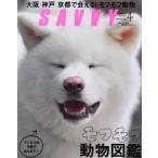 SAVVY(4 April 2017) ежемесячный журнал / столица Hanshin L журнал фирма 