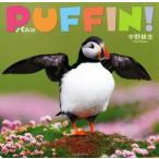 pa ласты!/ средний ...( автор )