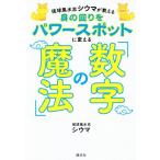 . лампочка фэн-шуй .si лошадь . объяснить .. вокруг . энергия спот . поменять [ цифра. магия ] художник серии M/si лошадь ( работа 