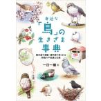 身近な「鳥」の生きざま事典 散歩道や通勤・通学路で見られる野鳥の不思議な生態/一日一種(著者)